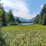 Photo n°3 de l'avis de Wanders.a fait le 30/07/2021 à 05:18 sur le  Café Gelfart à Ramsau bei Berchtesgaden