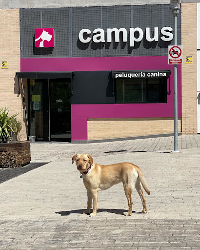 Clínica Veterinaria Campus en Granada