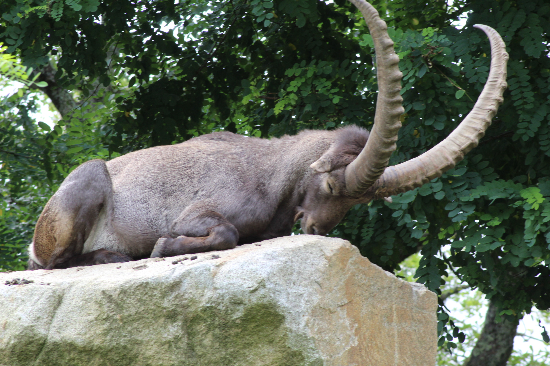 Photo n° 31 de l'avis de David.i fait le 18/11/2019 à 20:29