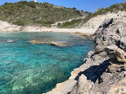 Plani Beach'in fotoğrafı doğal alan içinde bulunmaktadır