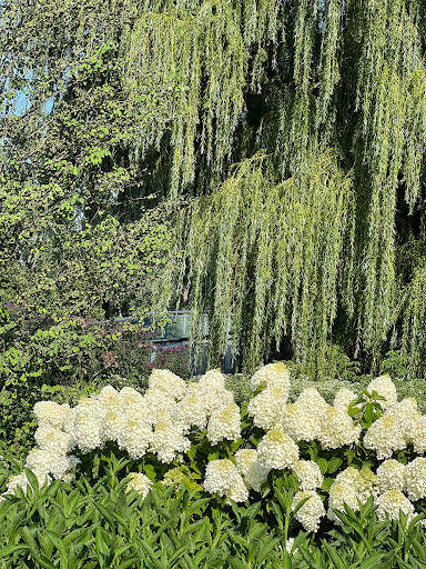 Botanical Garden «Chicago Botanic Garden», reviews and photos, 1000 Lake Cook Rd, Glencoe, IL 60022, USA