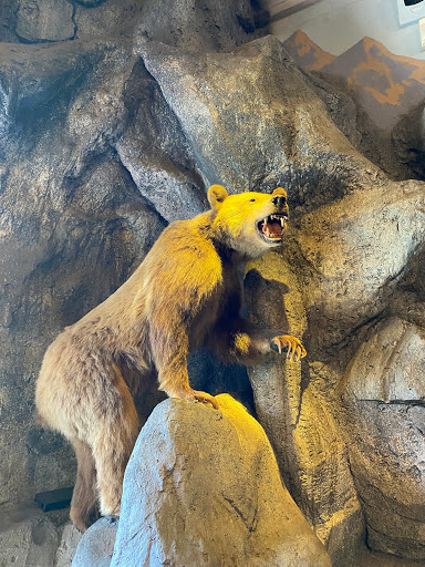 Sporting Goods Store «Bass Pro Shops», reviews and photos, 1356 Bass Pro Dr, Manteca, CA 95337, USA