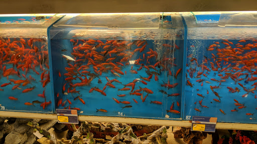 Pet Supply Store «PetSmart», reviews and photos, 39410 Argonaut Way, Fremont, CA 94538, USA