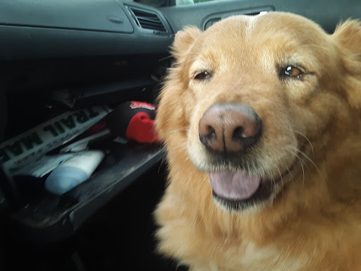 Pet Supply Store «The Stock Market Country Store», reviews and photos, 4479 Dover Pl SE, Conyers, GA 30013, USA