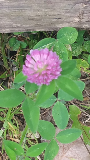 Campground «Hide Away Lakes», reviews and photos, 8045 Van Emmon Rd, Yorkville, IL 60560, USA