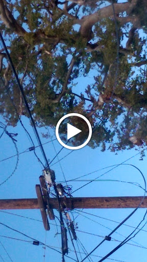 Cable Company «Cox Authorized Retailer», reviews and photos, 423 Silver Spur Rd, Rolling Hills Estates, CA 90274, USA