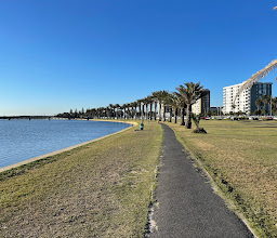 Table Bay Nature Reserve - Milnerton Lagoon photo