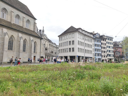 Houses to reform Zurich