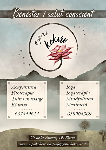 Espai Kokoro - Benestar i Salut Conscient, Blanes  - Carrer d,Alberes, 49, local 2 b, 17300 Blanes, Girona, Spain