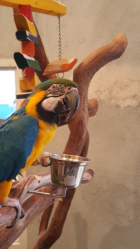 Pet Supply Store «PetKraze», reviews and photos, 100 Independent Way, Brewster, NY 10509, USA