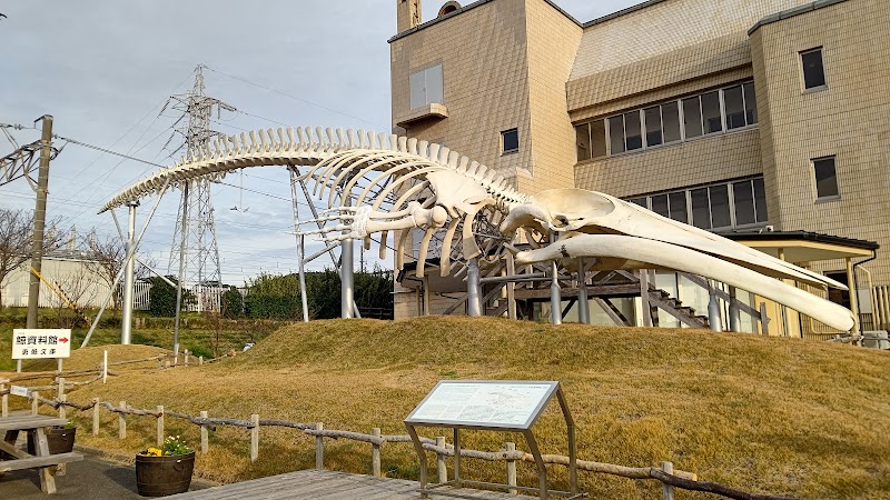 鯨資料館