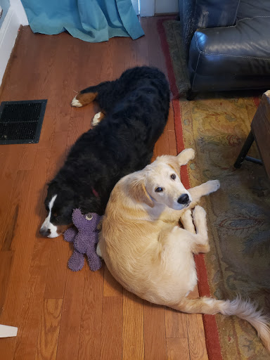 Pet Supply Store «Pet Valu», reviews and photos, 1305 West Seventh Street #28, Frederick, MD 21702, USA