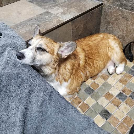 Pet Store «Pet Valu», reviews and photos, 725 River Rd, Edgewater, NJ 07020, USA