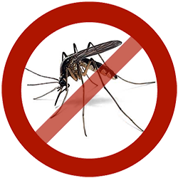 Pest Control Service «A-Action Pest Control», reviews and photos