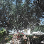 Photo n°7 de l'avis de GyPy. fait le 18/06/2019 à 13:24 sur le  HOM - Hotel Orsa Maggiore à Castro