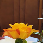 Photo n°1 de l'avis de Joachim.u fait le 22/04/2019 à 18:20 sur le  Pingsdorfer Hof Restaurant mit Biergarten à Brühl