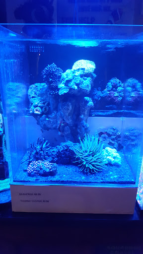 Pet Store «Oak Park Natural Pet & Fish», reviews and photos, 23 N Harlem Ave, Oak Park, IL 60302, USA