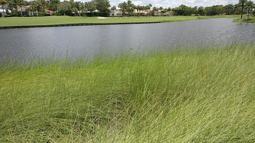 Golf Shop «Loxahatchee Club-Golf Shop», reviews and photos, 1350 Echo Dr, Jupiter, FL 33458, USA