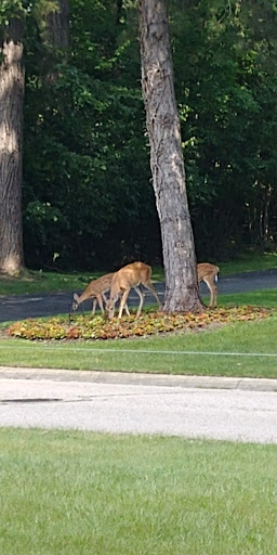 Country Club «Warwick Hills Golf & Country», reviews and photos, 9057 S Saginaw St, Grand Blanc, MI 48439, USA