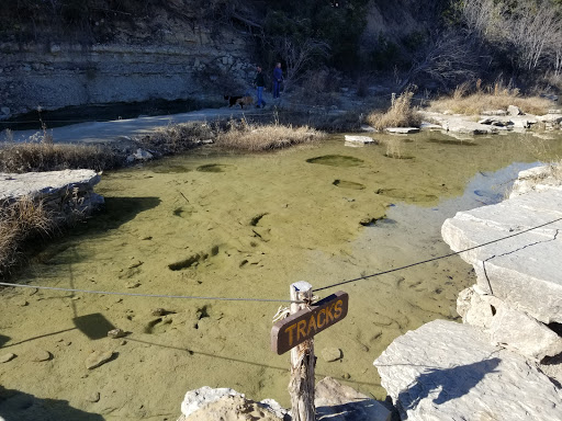 Museum «Dinosaur World», reviews and photos, 1058 Park Rd 59, Glen Rose, TX 76043, USA