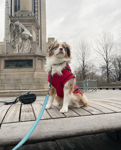 MyPet-PlaceholderImage.jpg