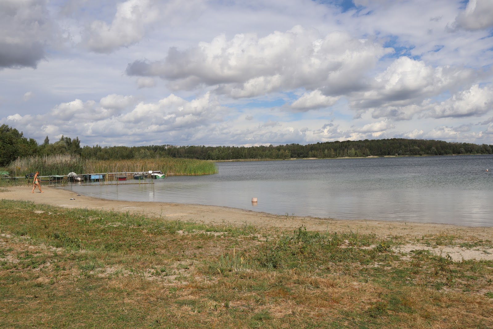 Hasselbacher See Strand'in fotoğrafı - rahatlamayı sevenler arasında popüler bir yer