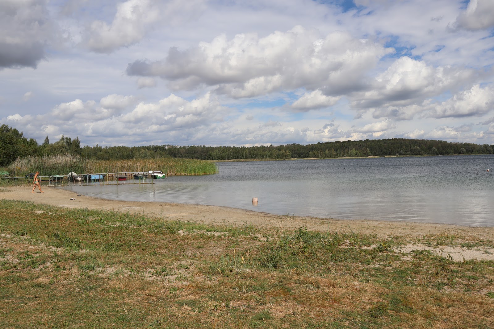 Foto van Hasselbacher See Strand gelegen in een natuurlijk gebied