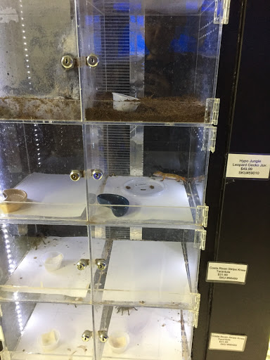 Pet Store «Inland Reef Pet Store», reviews and photos, 817 Cross Lanes Dr, Cross Lanes, WV 25313, USA