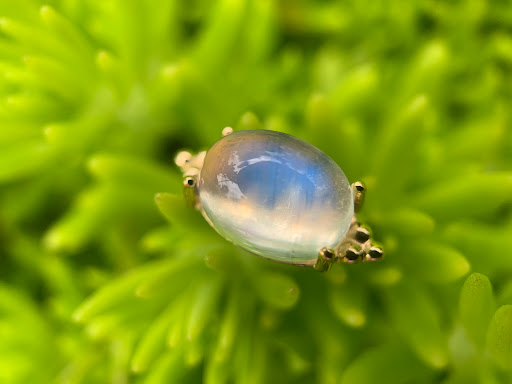 Explore outdoor tattoo ideas, creative tattoo ideas in Sioux Falls, available at Kind Find Jewelry & Piercing