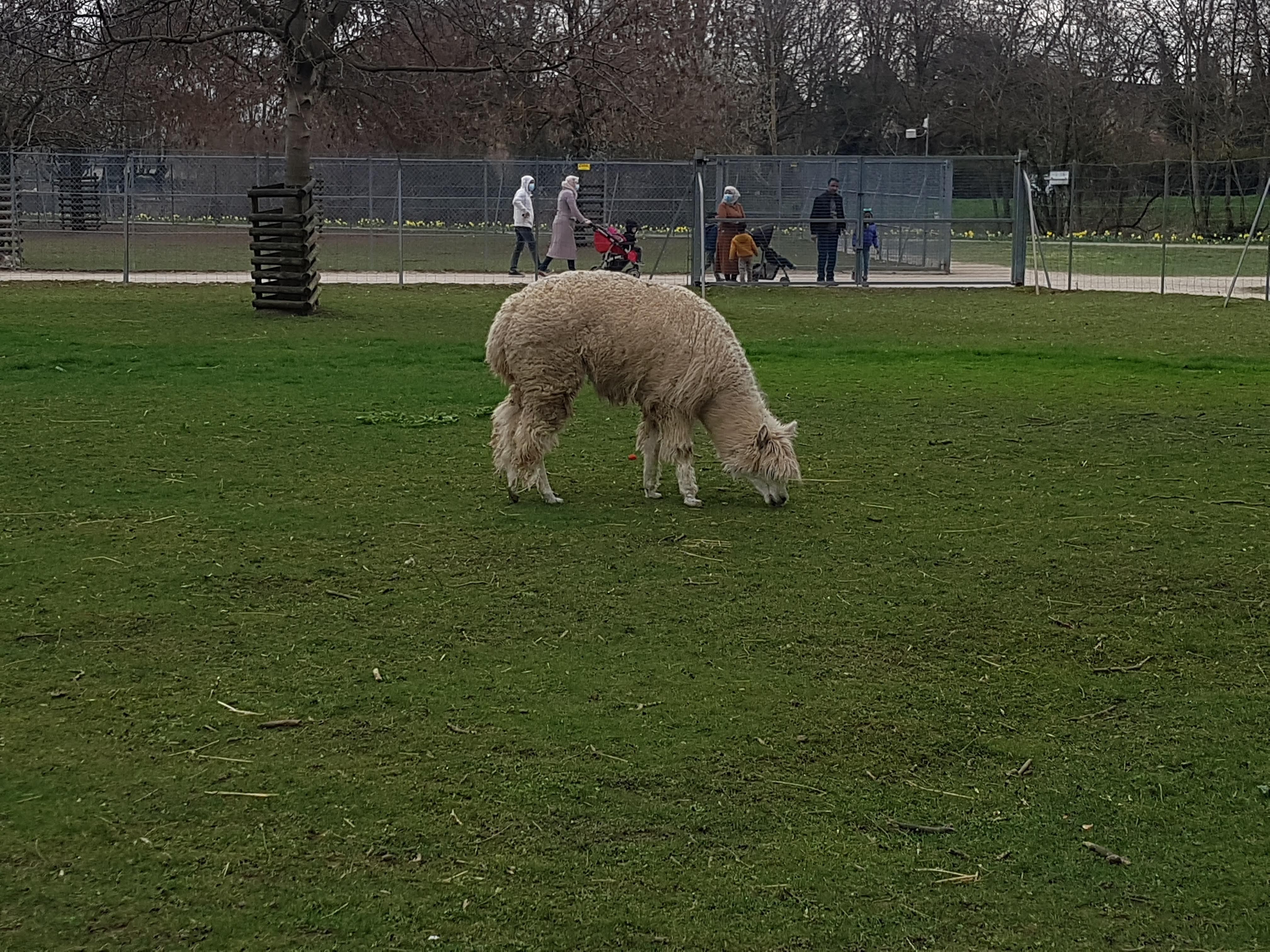 Photo n° 5 de l'avis de Joyce.e fait le 20/04/2021 à 05:48