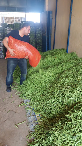 Yenişehir Nakliyeciler