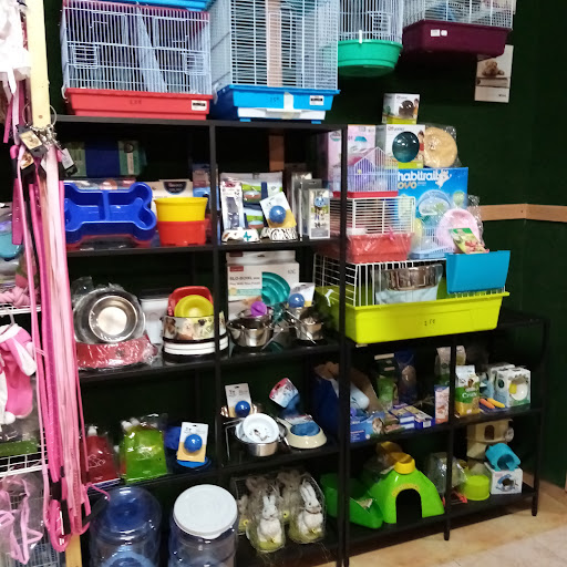 JUDIT MASCO-TAS en La Pobla de Mafumet, Tarragona