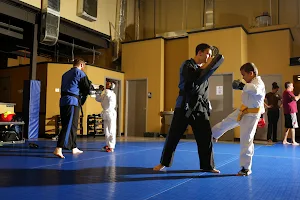 Trident Academy of Martial Arts image