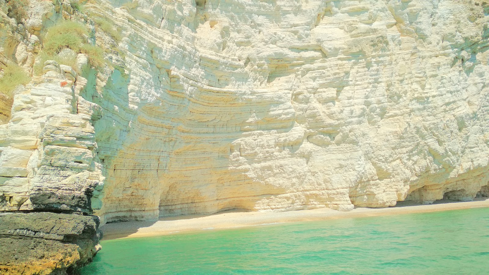 Foto von Cala della Malva wilde gegend