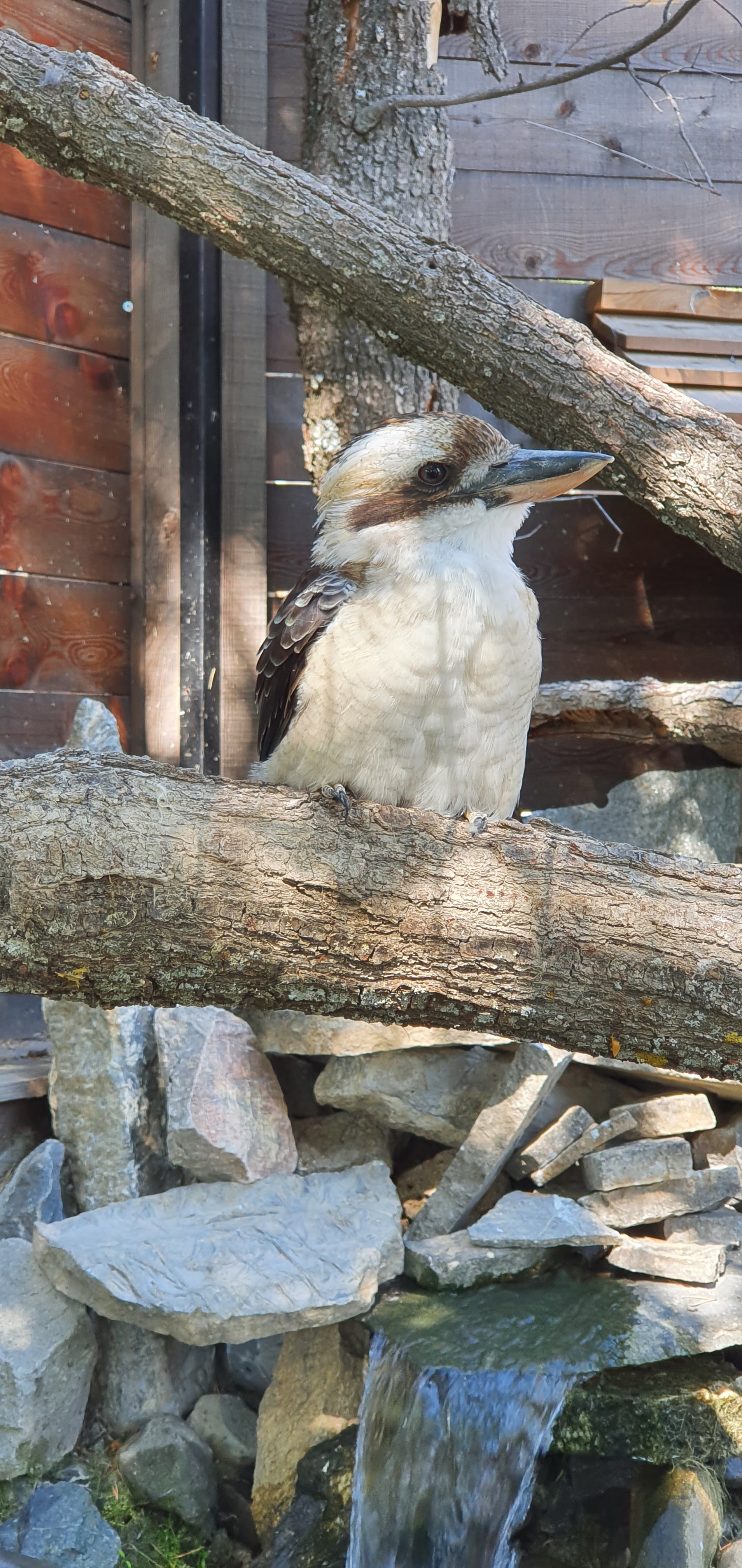 Photo n° 7 de l'avis de Alain.R fait le 30/08/2021 à 21:58