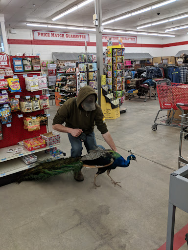 Tractor Supply Co.