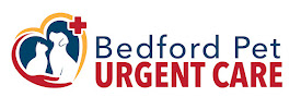 Bedford Pet Urgent Care - Photo 6 - Car repair in Bedford, NH, Nashua