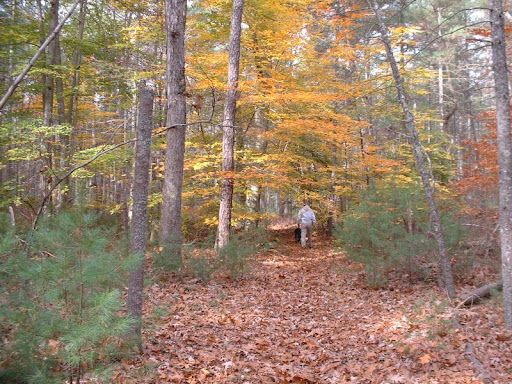 DNRT Howland Reserve