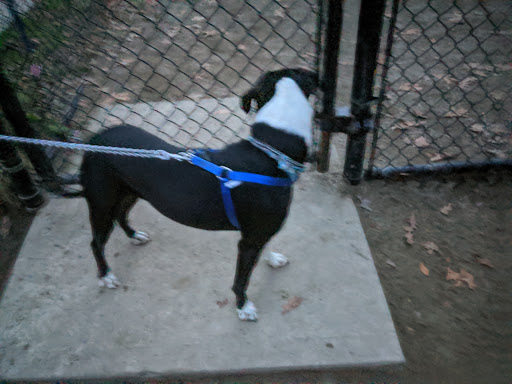 Dog Park «Brookdale Dog Park», reviews and photos, W Circuit Dr, Montclair, NJ 07043, USA