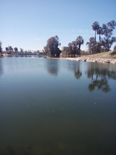 Mejor Notaría Olga's Mobile Notary Public / Loan Signing