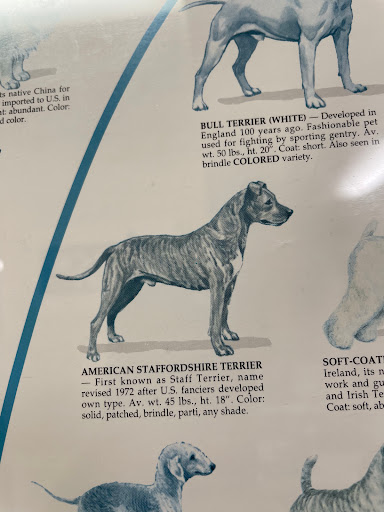 Center Sinai Animal Hospital image