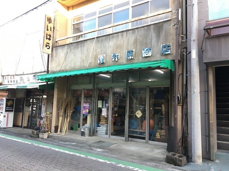 油井原商店