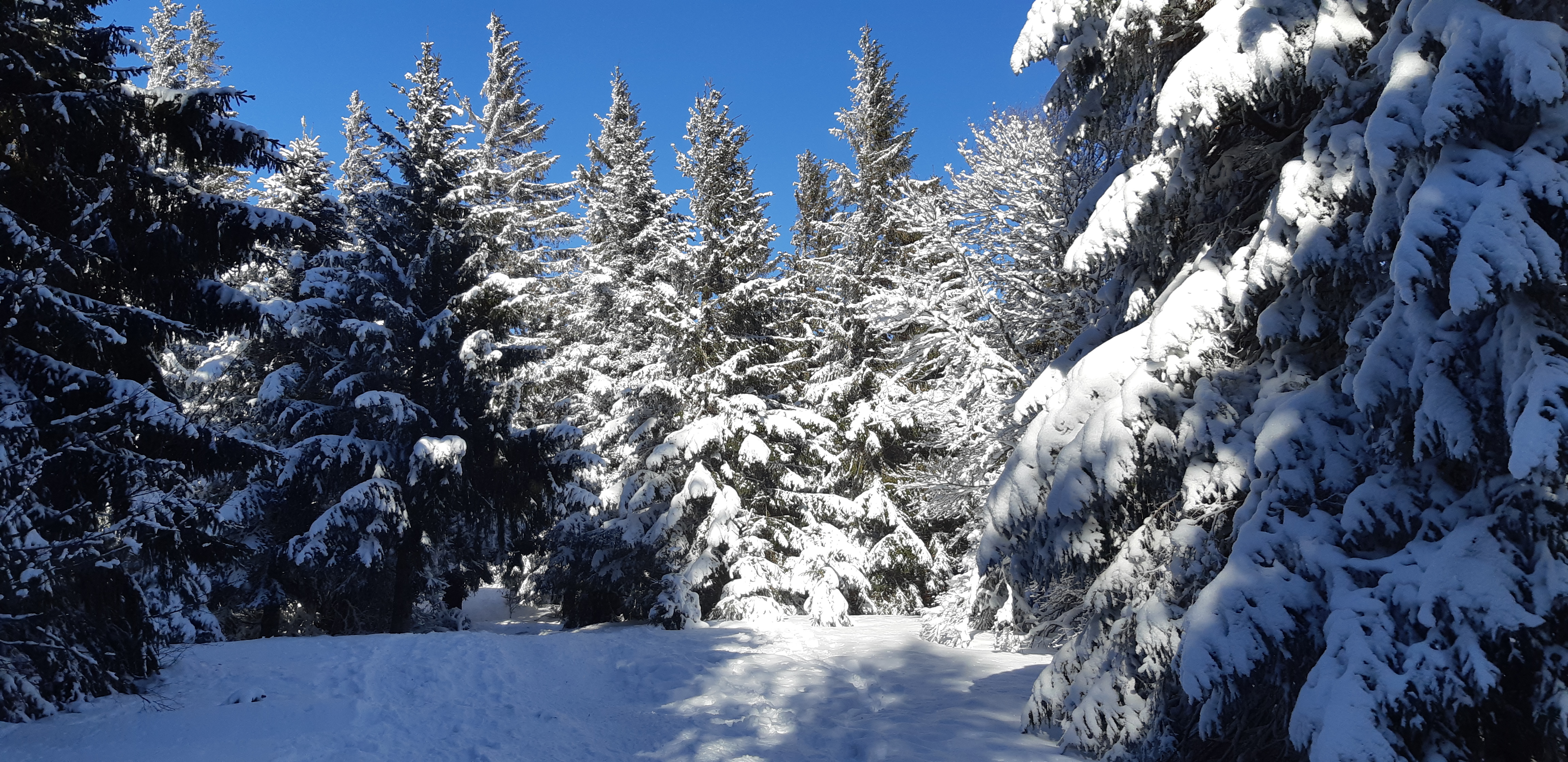 Photo n° 10 de l'avis de Patricia.t fait le 24/12/2017 à 19:48