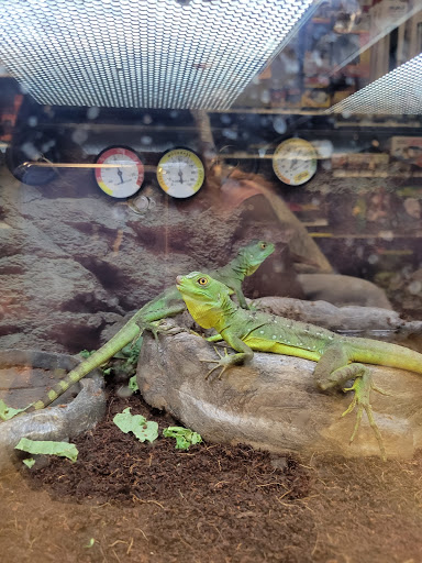 Pet Supply Store «Petco Animal Supplies», reviews and photos, 1951 N Military Trl c, West Palm Beach, FL 33409, USA