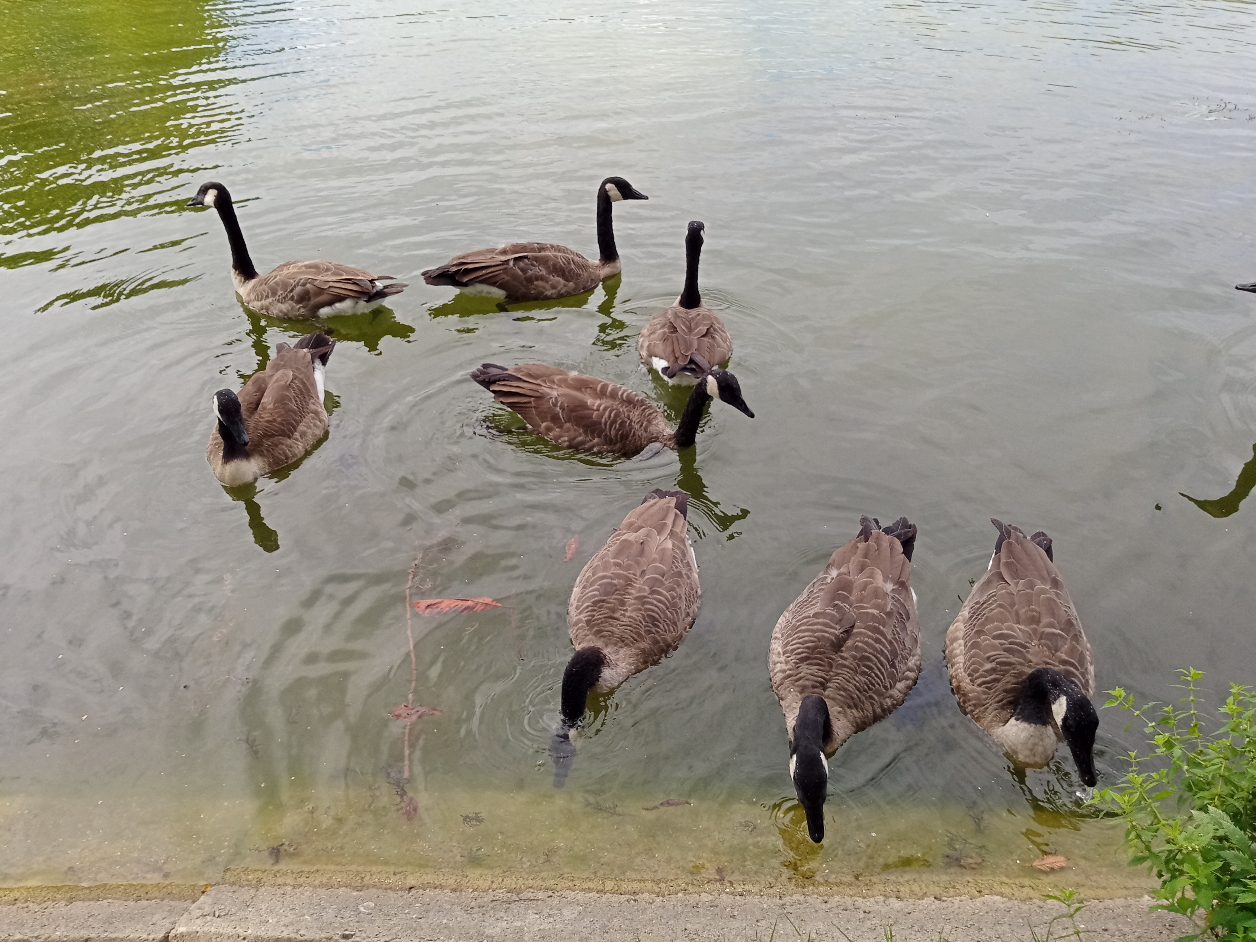 Photo n° 7 de l'avis de Etoile.e fait le 31/08/2020 à 06:33