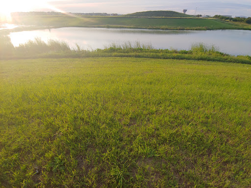 Public Golf Course «Morris Williams Golf Course», reviews and photos, 3851 Manor Rd, Austin, TX 78723, USA