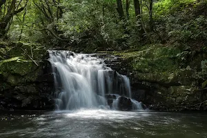 Obuchi-Mebuchi Waterfall image