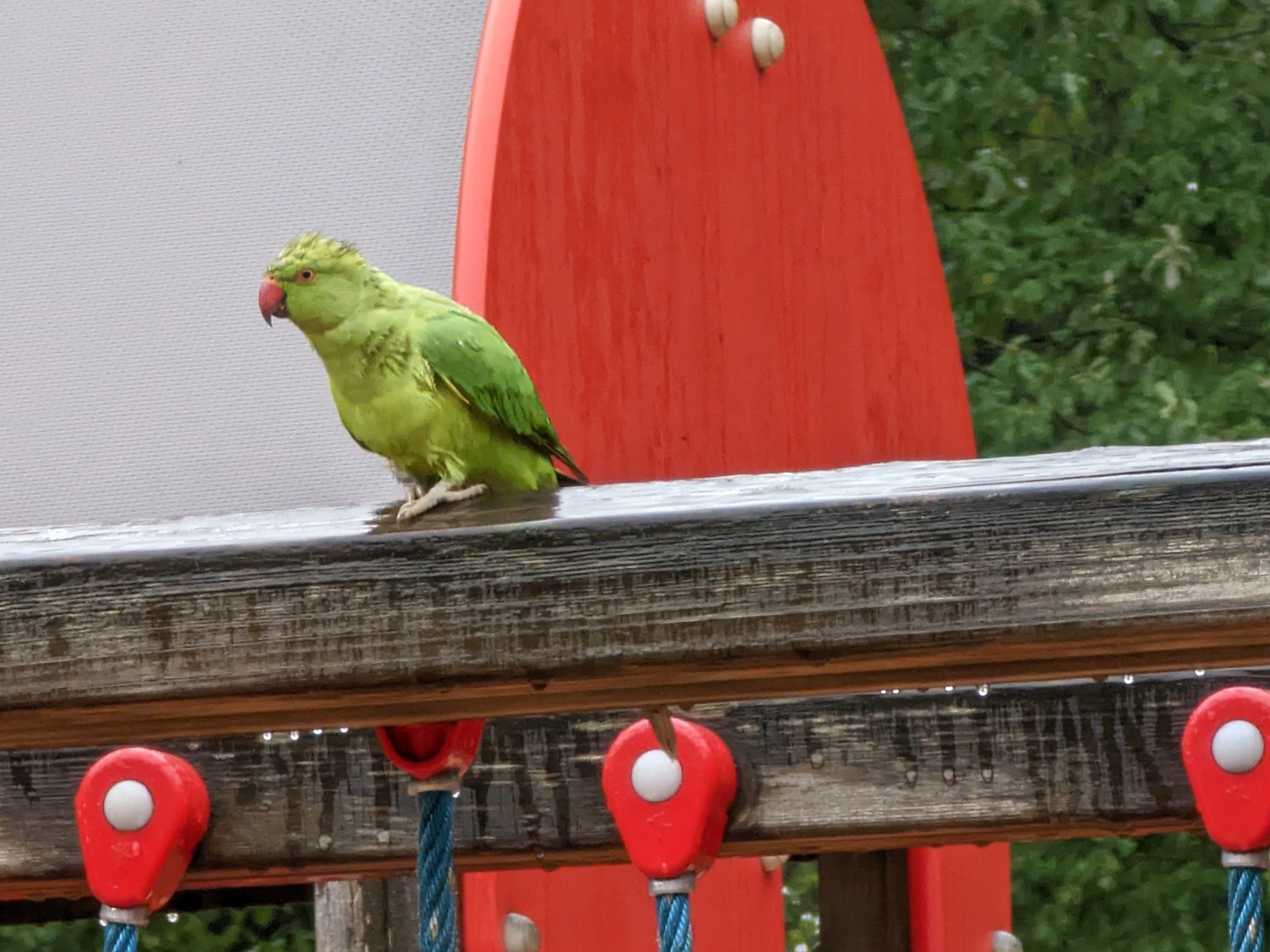Photo n° 5 de l'avis de Virgile.o fait le 24/09/2022 à 13:04