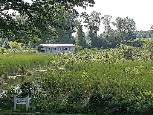 Public Golf Course «Angels Crossing Golf Club», reviews and photos, 3600 E W Ave, Vicksburg, MI 49097, USA