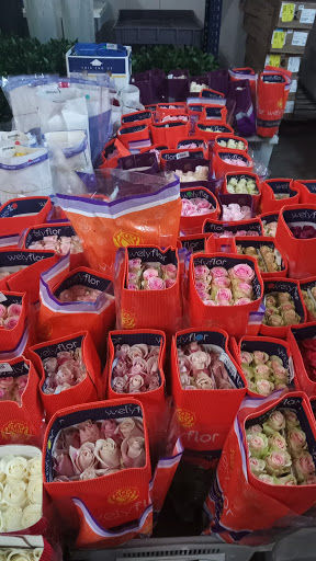 Florist «The Flower Place», reviews and photos, 860 NE 79th St, Miami, FL 33138, USA